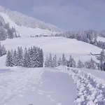 Lejlighed Bergfrieden *