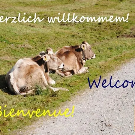 Bergfrieden Oberstaufen