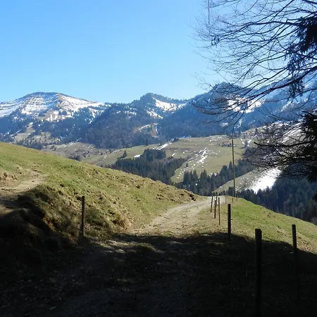 Apartment Bergfrieden Oberstaufen