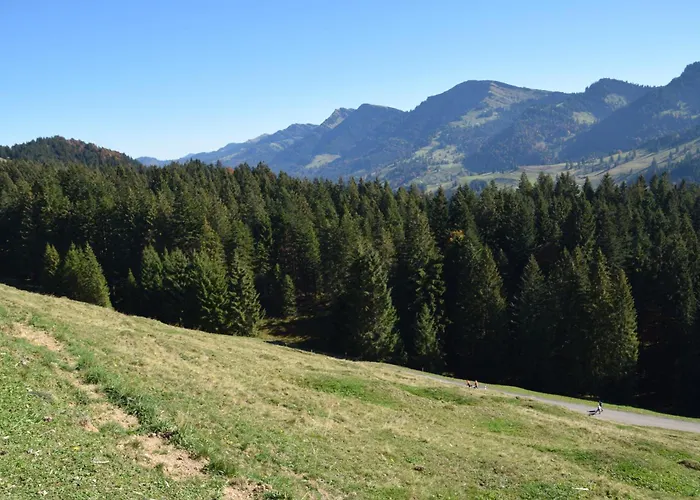 Апартаменты Bergfrieden *