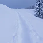 Bergfrieden Διαμέρισμα