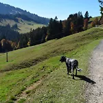 Διαμέρισμα Bergfrieden *