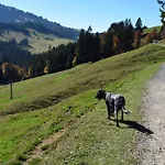 Bergfrieden Διαμέρισμα