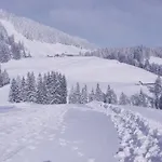 Bergfrieden Oberstaufen
