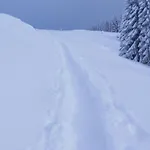 Bergfrieden Διαμέρισμα Oberstaufen